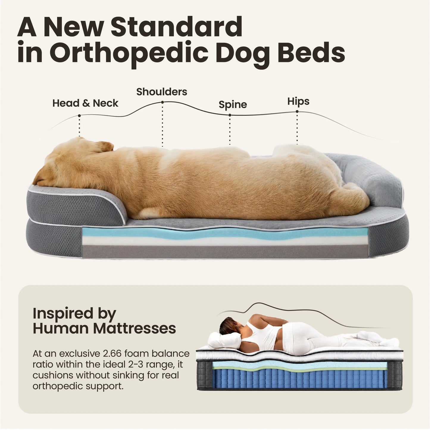 Lesure Realortho Orthopedic Dog Bed for Joint Support in Large and Senior Dogs