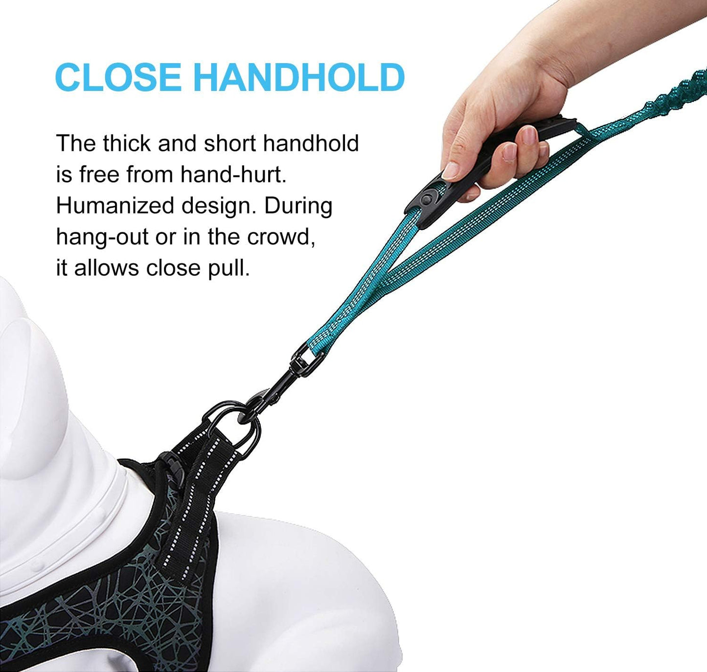 6FT Heavy-Duty Elastic Bungee Dog Leash with Shock Absorption, Padded Comfort Handle, and Traffic Control Handle for Medium to Large Dogs - Ideal for Training